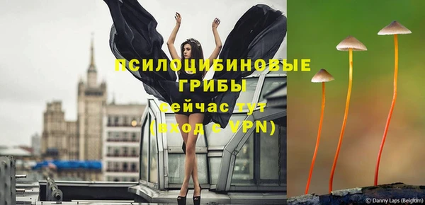 ALPHA PVP Алексин