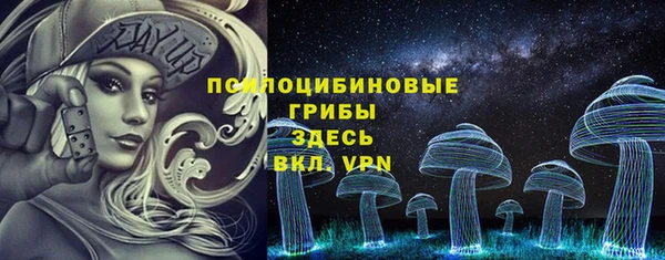 хмурый Алексеевка
