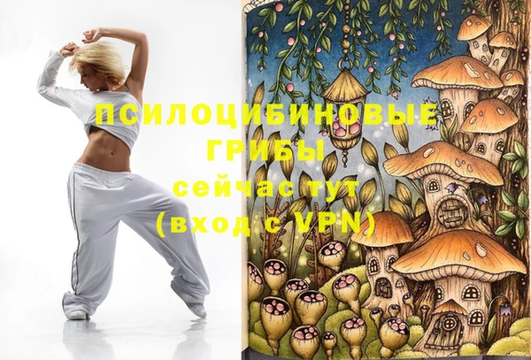 герыч Алзамай