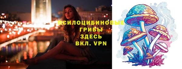 герыч Алзамай
