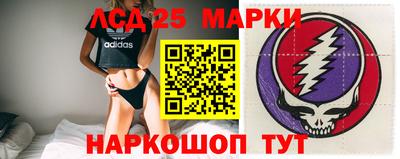 a pvp Сланцы