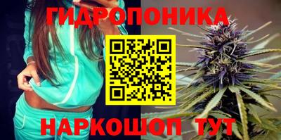 a pvp Сланцы