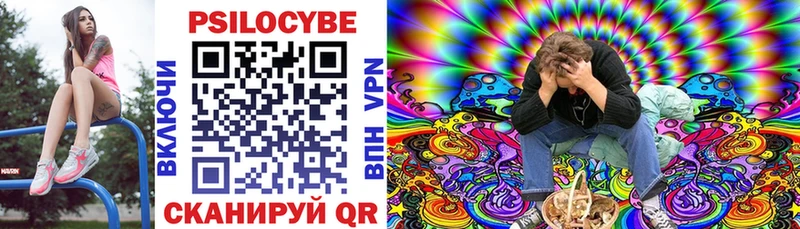 мега как войти закладка Тверь Галлюциногенные грибы Psilocybe